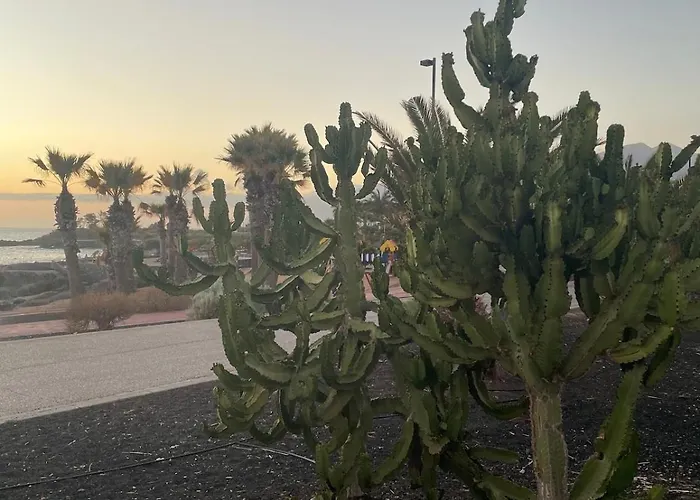 Prázdninový dům Basalto House 1 Tenerife South *