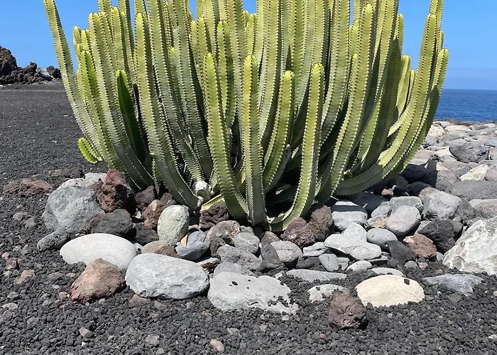 Basalto House 1 Tenerife South