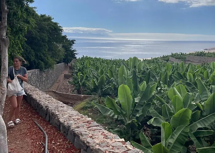 Basalto House 1 Tenerife South Tejina de Isora