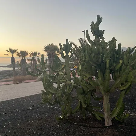 Σπίτι διακοπών Basalto House 1 Tenerife South *